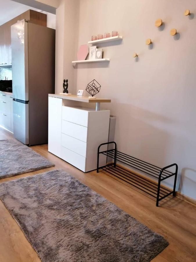 Apartament Luxury Miruna Apartment ริชนอฟ ภายนอก รูปภาพ